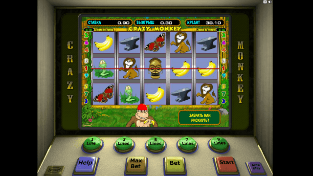 Crazy Monkey 8