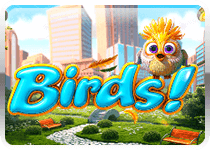 Birds!